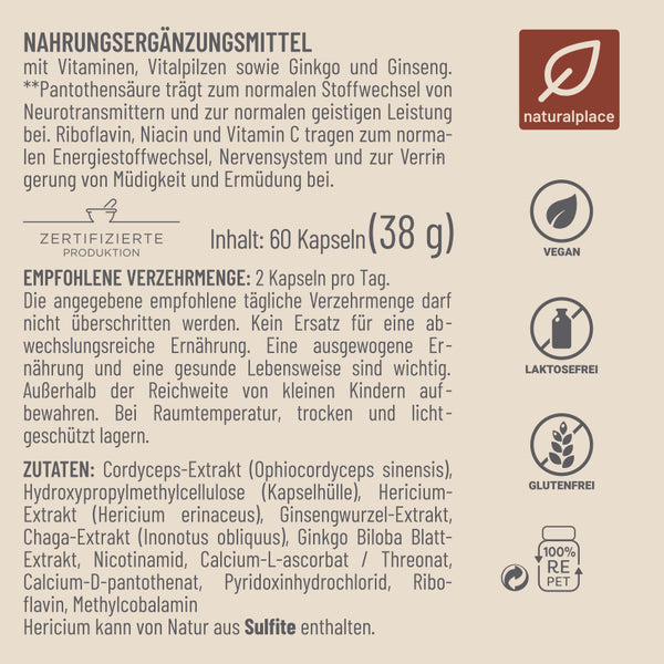 GEDÄCHTNIS LEISTUNG Komplex